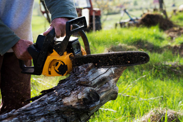 Best Soil Testing and Treatment  in Somerset, MD